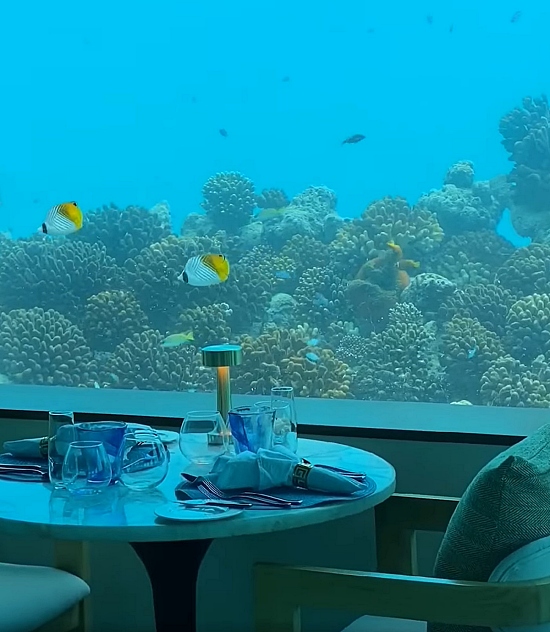 Restauracja podwodna